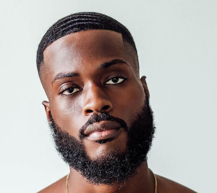 De quel type de greffe de cheveux africains s’agit-il ?